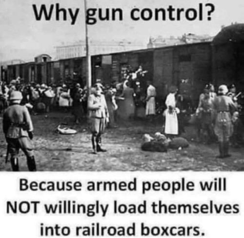FB_IMG_1669951701551