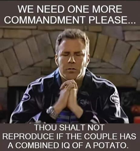 609b1808-2ea4-49a8-803e-824ff1912181