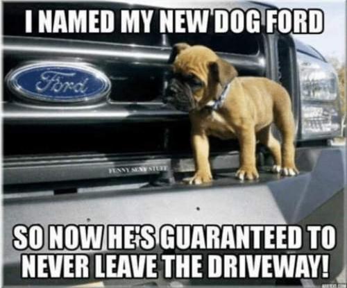 FB_IMG_1670870848528