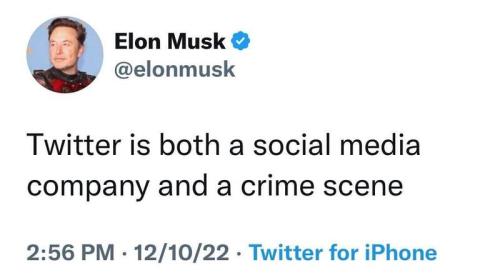 elon me