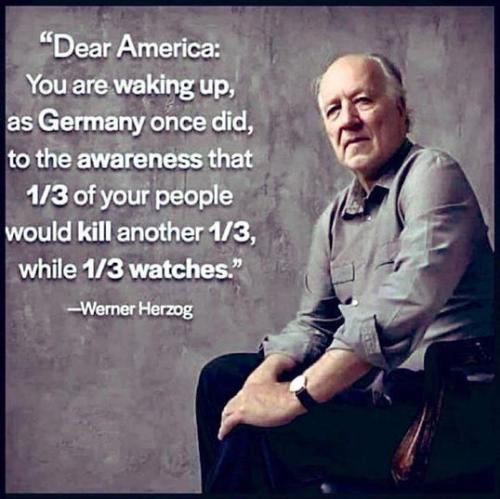 werner hertzog