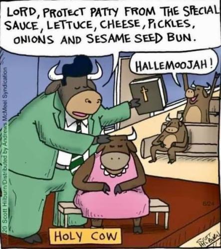 321447864_461868819457354_8135652061452093807_n