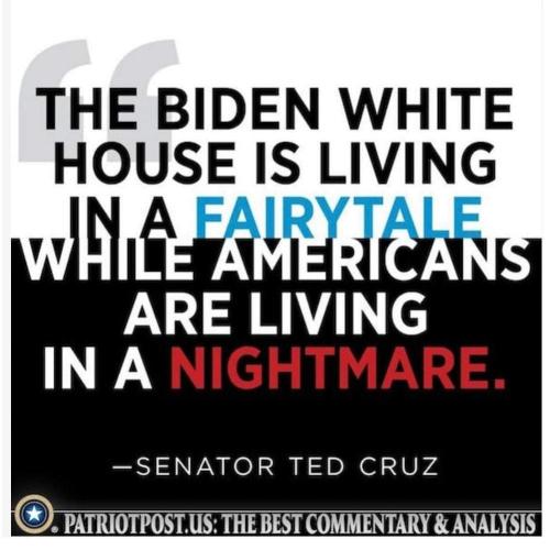 FB_IMG_1670633335644