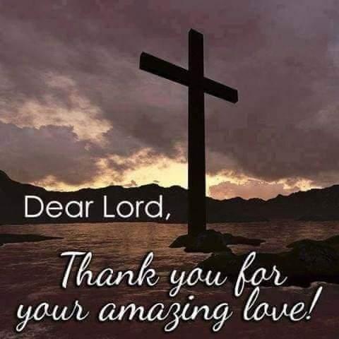 fe02947f-ffee-49f4-9b0a-ff6ed004364f