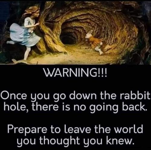 Rabbit hole 2