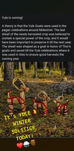 orca-image-616321357