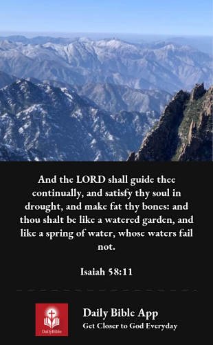 2022-12-281672275205276