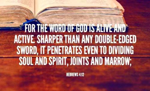 IMG_20221202_004606_663