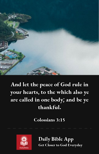 2022-12-241671928961533