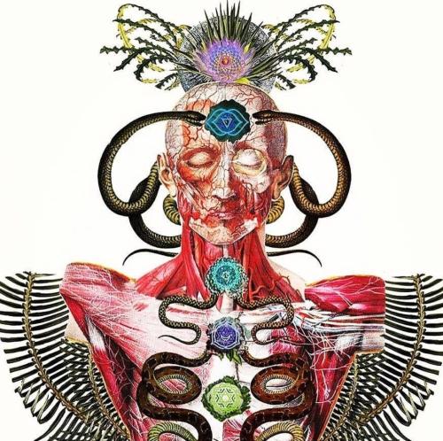 Screenshot_2022-12-22-11-52-19-37_1c337646f29875672b5a61192b9010f9