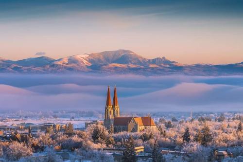 FB_IMG_1671858893066