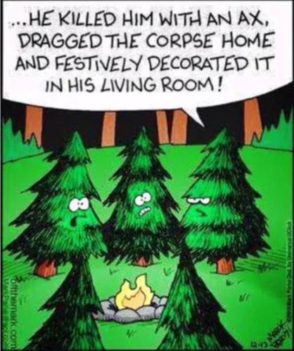 IMG_20221220_190750_435