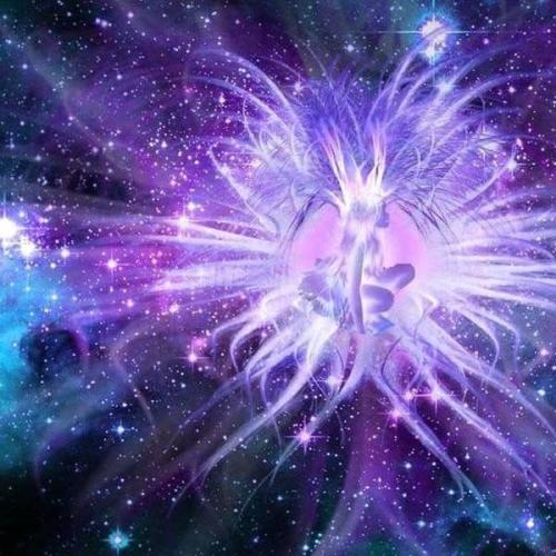 ,                                                                                                                                                                                                                          0 2