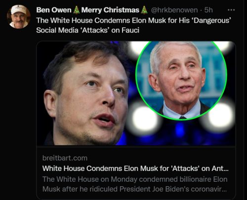 Musk 1