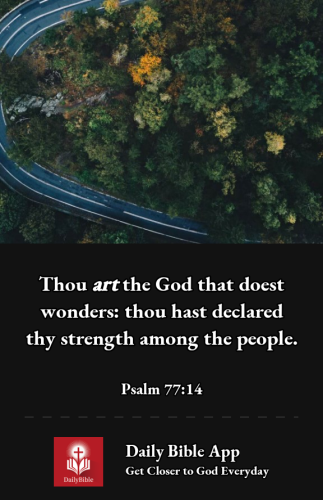 2022-12-301672462943397