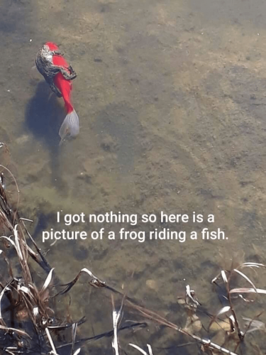 09:13:17 GMT-0500 (Eastern Standard Time).image