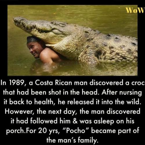 FB_IMG_1671138131169