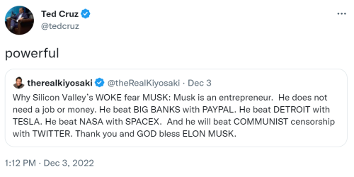 musk silicon valley woke