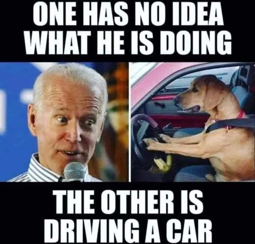 FB_IMG_1670094270343