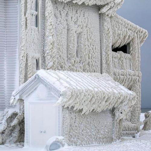 1b7c32b8-1788-4fd7-a132-65f9aaa55416