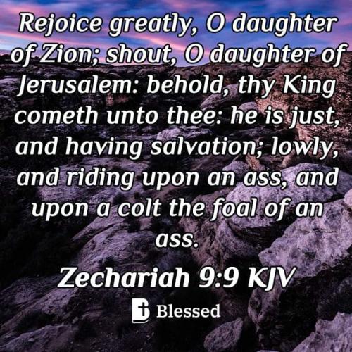 FB_IMG_1671694608474