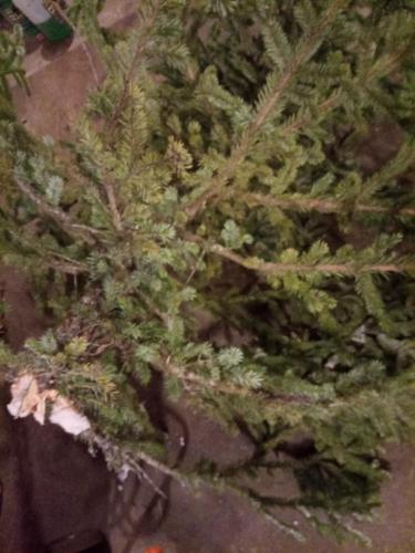 IMG_20221205_173728_347