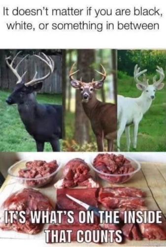 316309400_10158785177601625_7123788751299285669_n