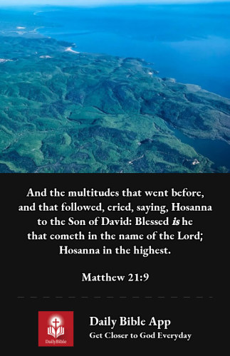 2022-12-241671928993039