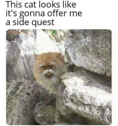 FB_IMG_1672286534040