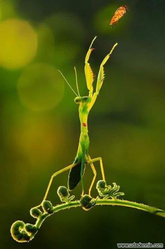 ,                                                                                                                                                                                                                          0 2