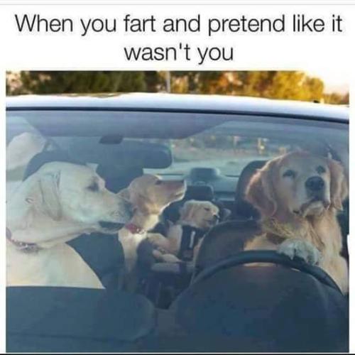 FB_IMG_1670711578149