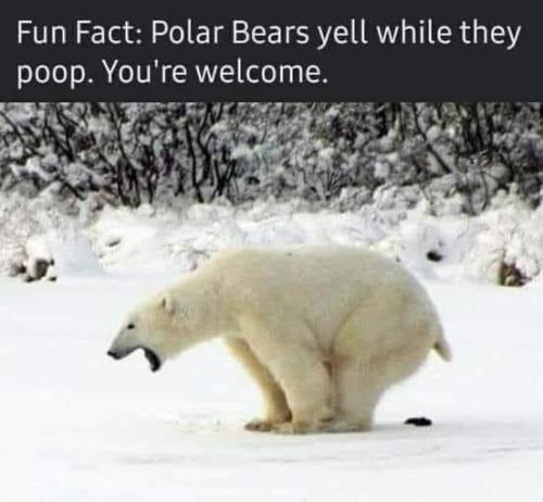 FB_IMG_1672353490843