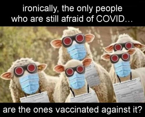 vaccine578