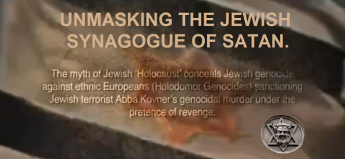 317096692_1081125599222671_613685484984328042_n