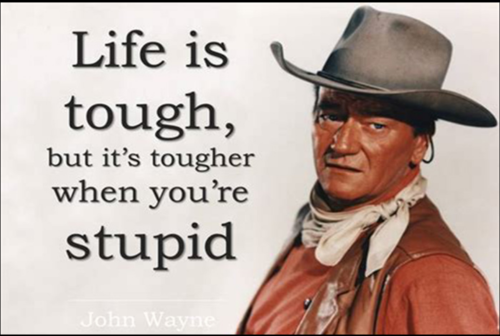 Screenshot_2022-12-14-04-31-34_kindlephoto-90303733