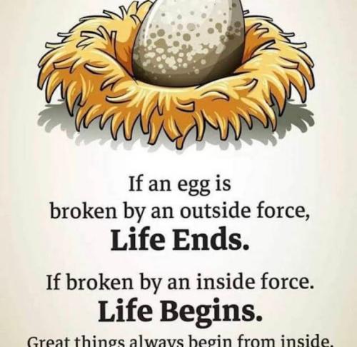 Screenshot_20221208-142729_YouTube~2