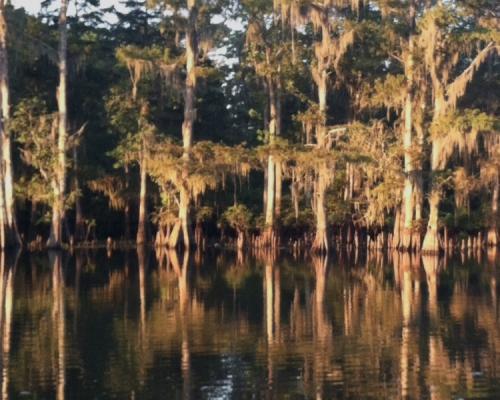 22:23:12 GMT-0600 (CST).image