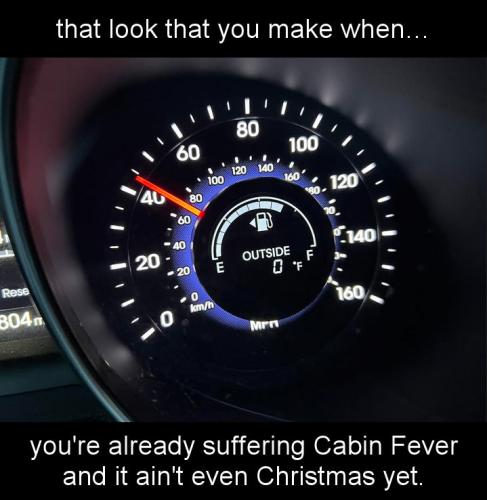 youre already suffering Cabin Fever and it aint even Christmas yet