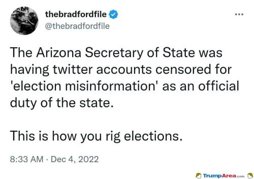 the-AZ-election