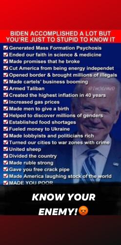 orca-image--680732850