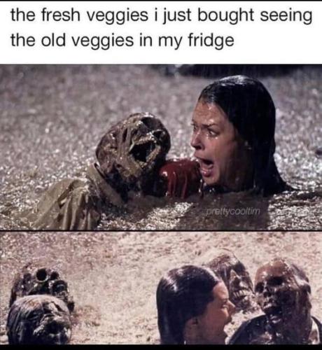 321411232_497197009180641_5912149057813143942_n