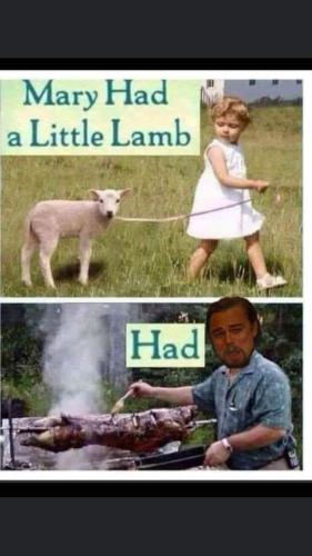 FB_IMG_1670351779247