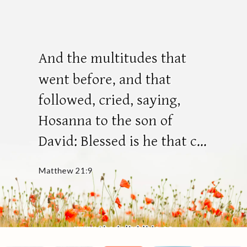 dailybible_20221226-063103_Matthew_21-9
