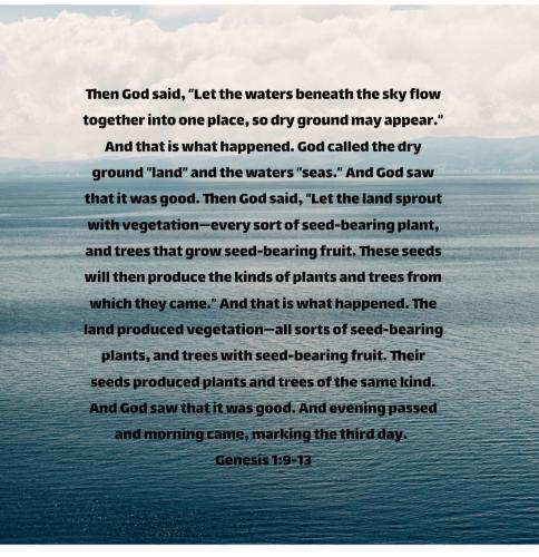 Screenshot_20221203-074653_Bible