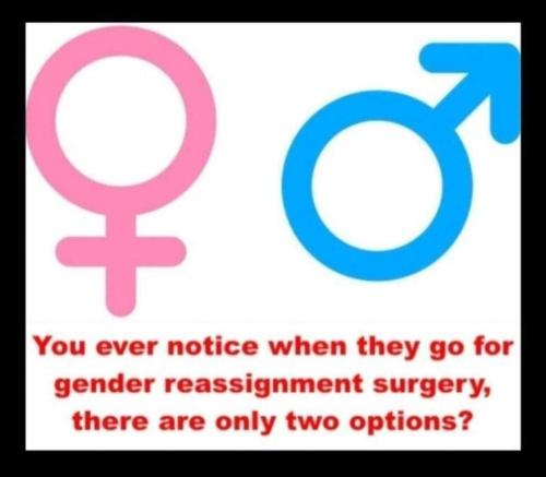 FB_IMG_1671626978394