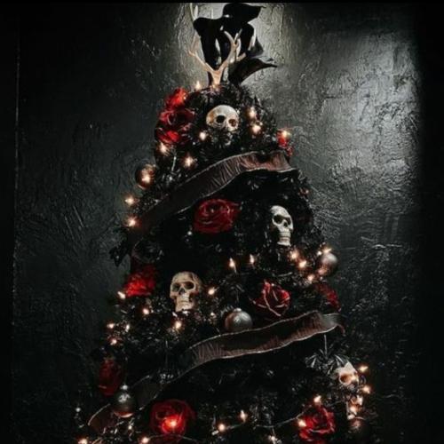 IMG_20221105_234407_757