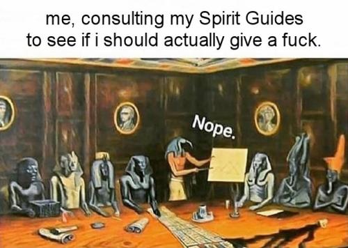 if i should give a fuck