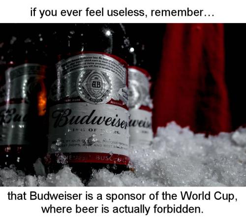 budweiser00