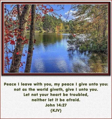 8b39e559-e86e-40bf-9864-a59d0a899799