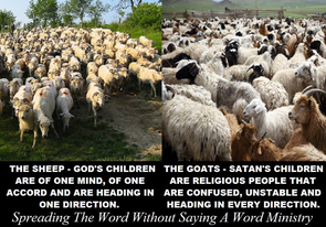 318287859_691582312363956_8388638797287383475_n